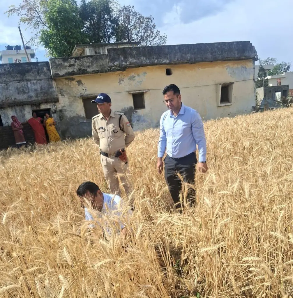 हल्द्वानी में रबी फसल की क्रॉप कटिंग, डीएम ललित मोहन रयाल ने किया निरीक्षण